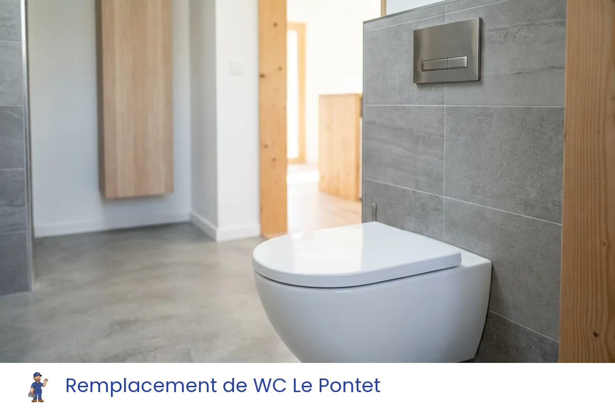 Remplacement de WC à Le Pontet